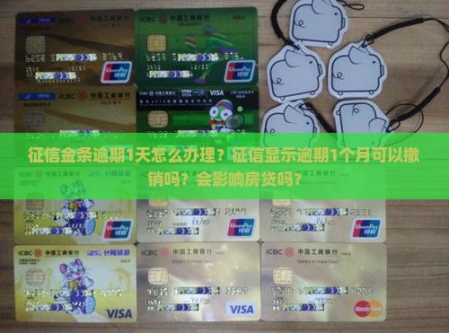 征信金条逾期1天怎么办