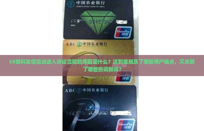 58数科发信息说进入诉讼流程的原因是什么
