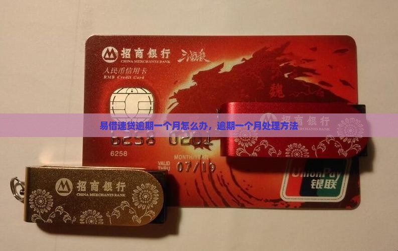 易借速贷逾期一个月怎么办