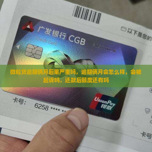微粒贷逾期俩月后果严重吗