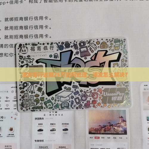 欠浦发银行25万如何处理
