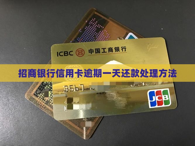 招商还款逾期1天如何处理
