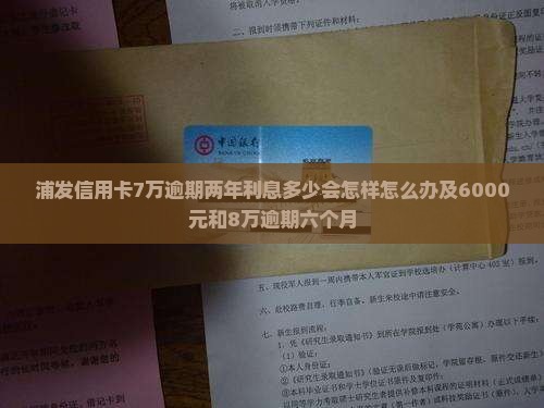浦发信用卡7万逾期两年