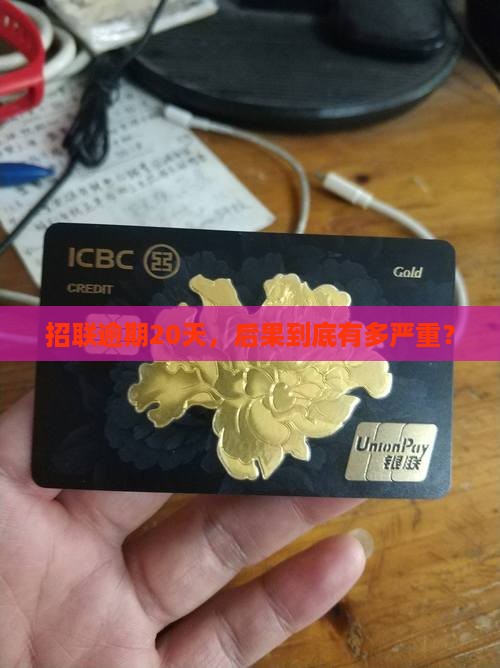招联逾期20天会怎样呢