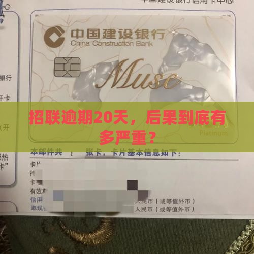 招联逾期20天会怎样呢