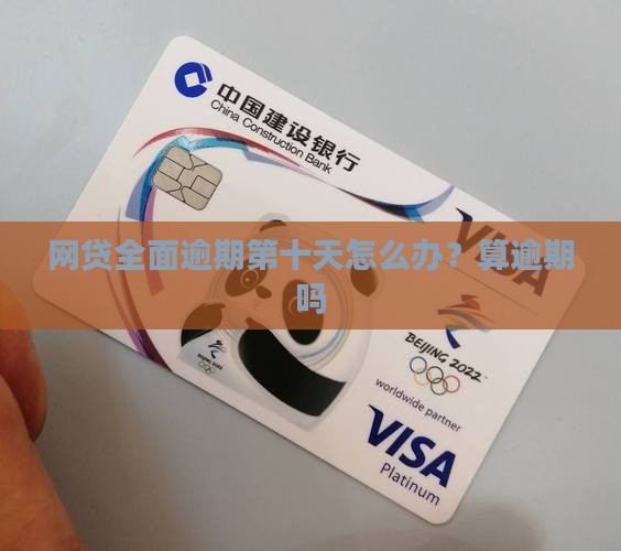 网贷全面逾期第十天