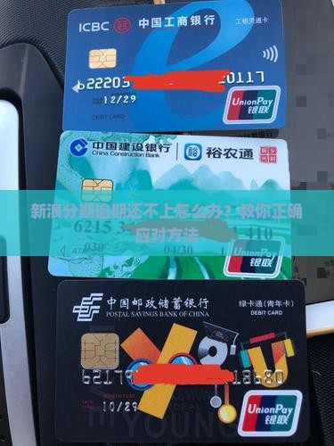 新浪分期逾期还不了怎么办