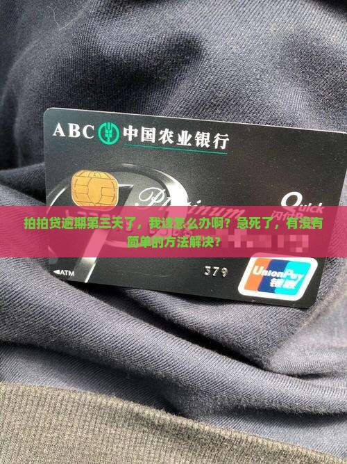 拍拍贷逾期第三天应该做什么处理