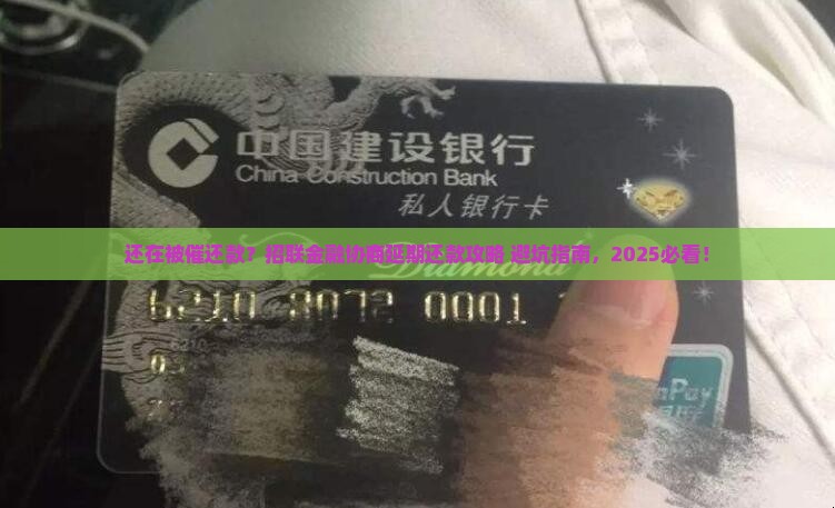 招联金融协商延期还款论坛