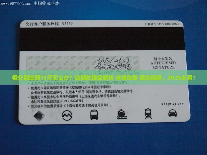 橙分期逾期了13天怎么办