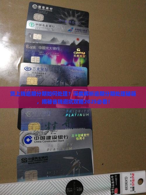 贷上钱逾期分期如何处理