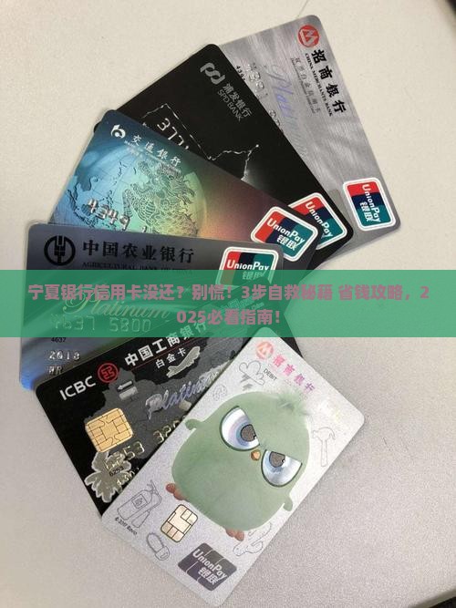 宁夏银行信用卡未还款怎么办