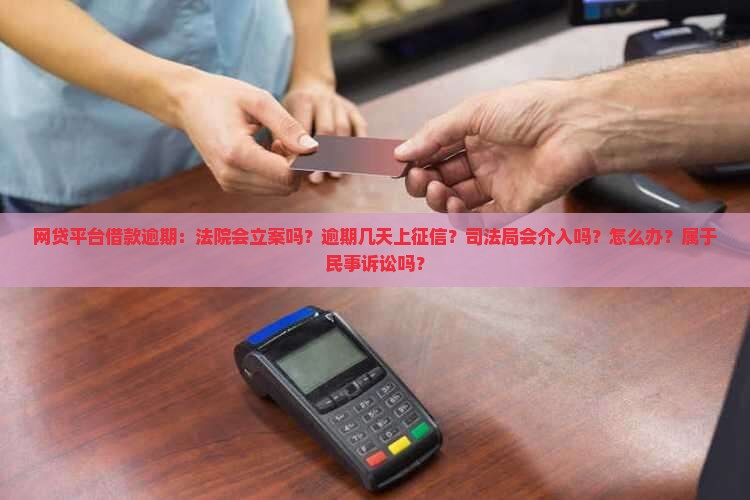 网贷平台借款逾期