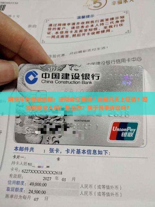 网贷平台借款逾期