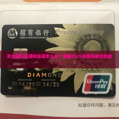农业银行逾期利息高怎么办