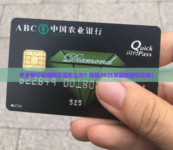 农业银行逾期利息高怎么办