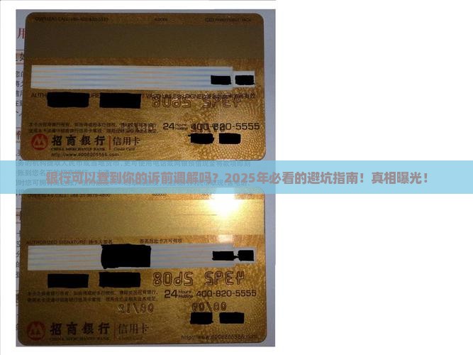 银行可以查到你的诉前调解吗