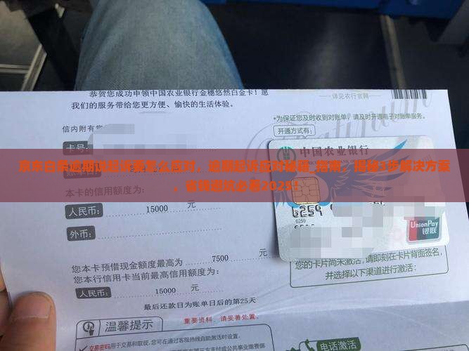 京东白条逾期说起诉要怎么应对