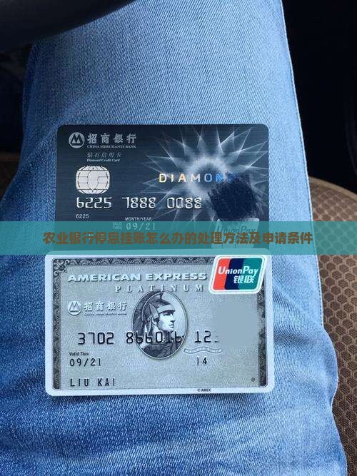 农业银行停息挂账怎么办的处理方法