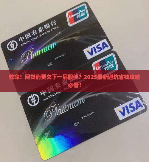 网贷用于个人消费无力偿还