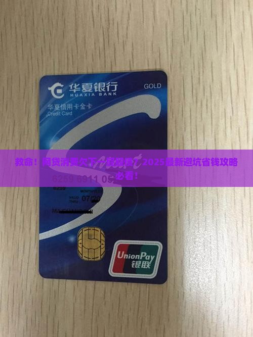 网贷用于个人消费无力偿还