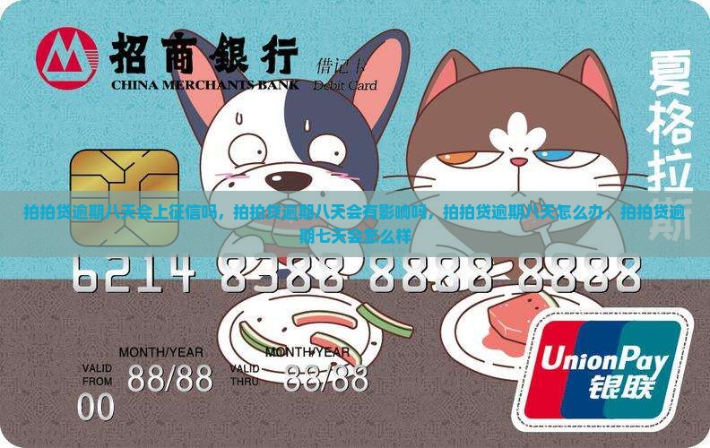 拍拍贷逾期八天会上征信吗
