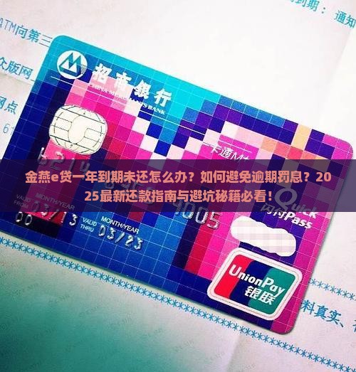 金燕e贷一年到期了没还怎么办