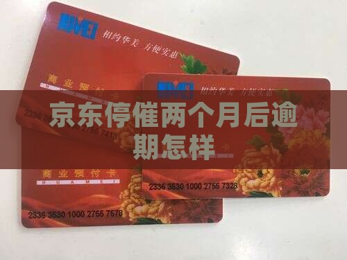 京东停催2个月后会怎样
