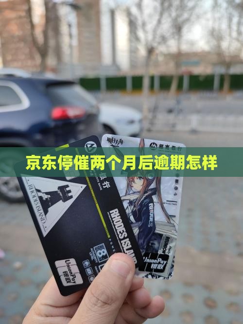 京东停催2个月后会怎样