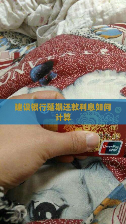 建设银行延期还款利息如何计算