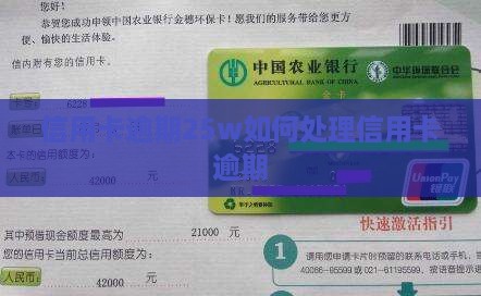 信用卡逾期25w怎么处理