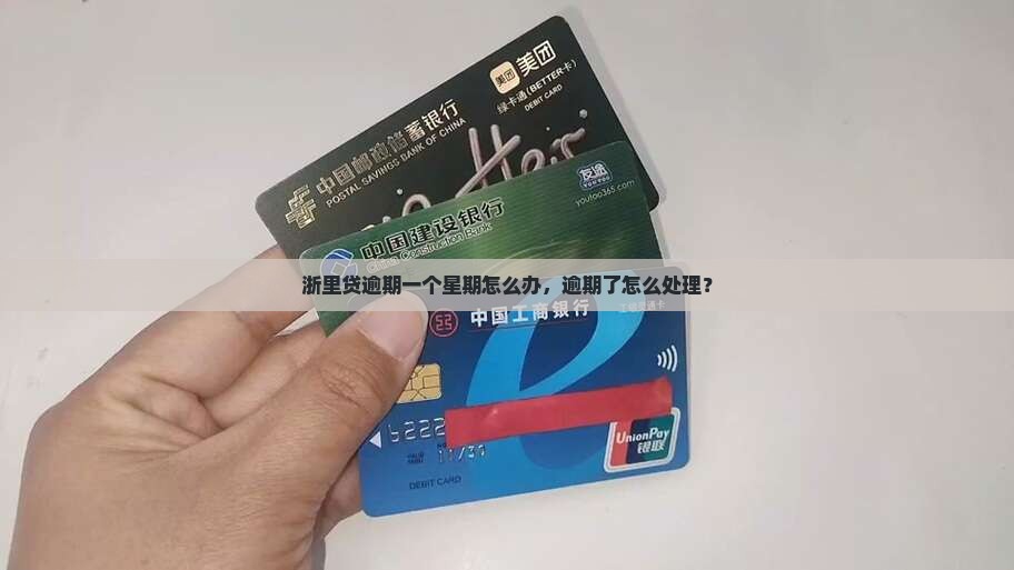 浙里贷逾期一个星期怎么办