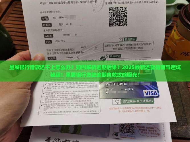 星展银行借款还不上怎么办