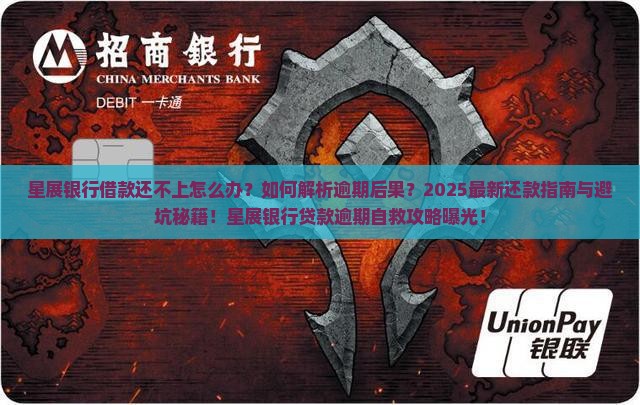 星展银行借款还不上怎么办
