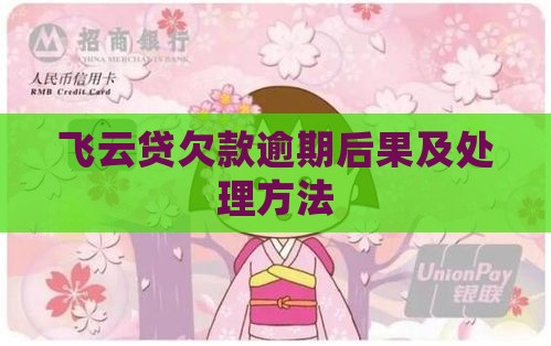 达飞云贷欠款还不上的后果怎么处理