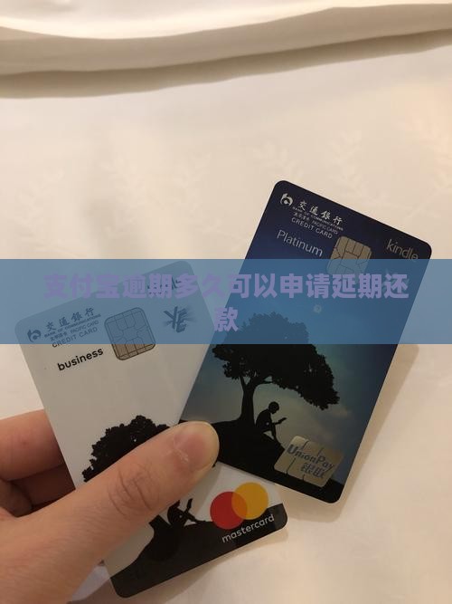 支付宝逾期多久可以申请延期