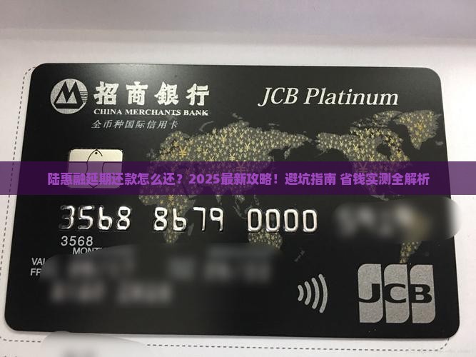 陆惠融延期还款怎么还的具体流程