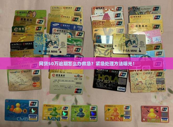 网贷50万逾期怎么办救急