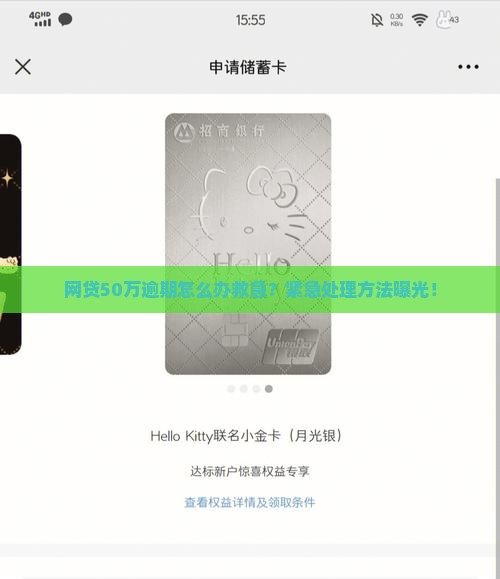 网贷50万逾期怎么办救急