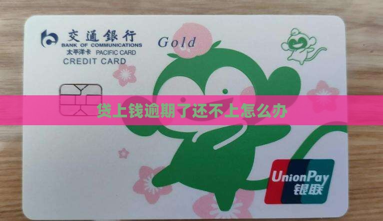 贷上钱逾期了还不上怎么办