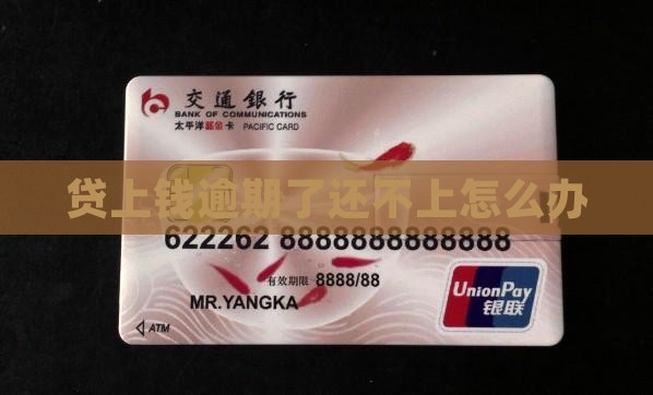 贷上钱逾期了还不上怎么办