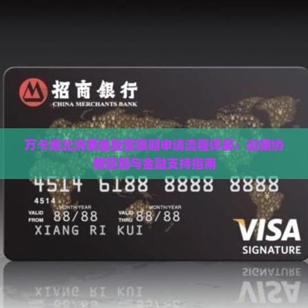 万卡湖北消费金融宽限期申请流程详解