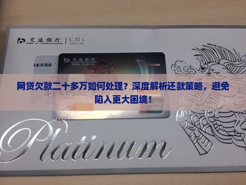 网贷欠款二十多万如何处理