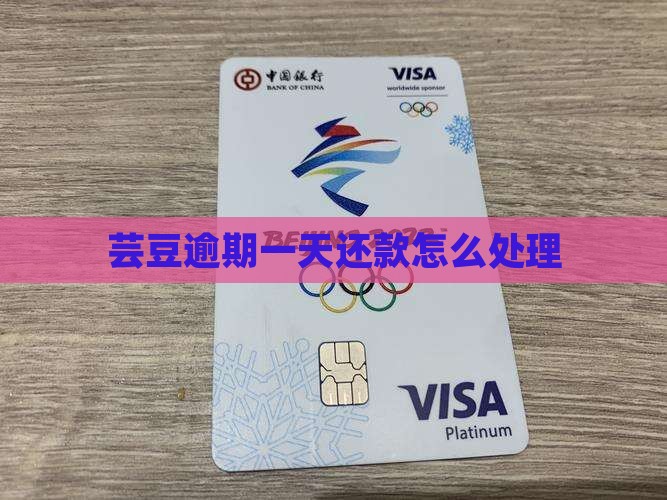 芸豆逾期一天还款怎么处理