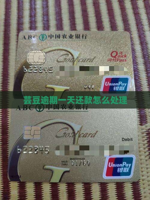 芸豆逾期一天还款怎么处理