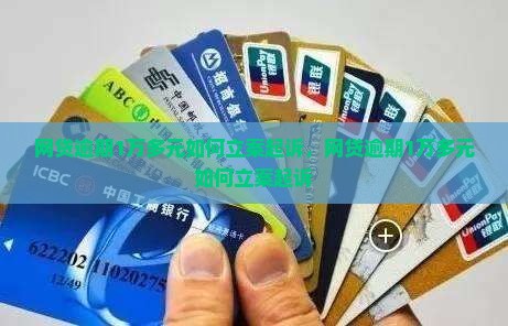 网贷逾期1万多元如何立案起诉