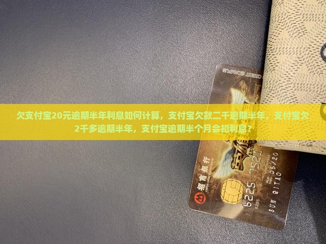 欠支付宝20元逾期半年利息如何计算