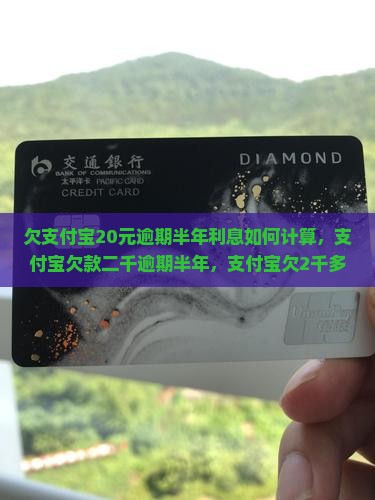 欠支付宝20元逾期半年利息如何计算