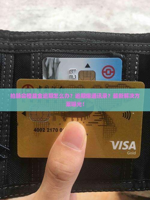 拍脉会橙益金逾期怎么办 拍脉会橙益金逾期怎么办