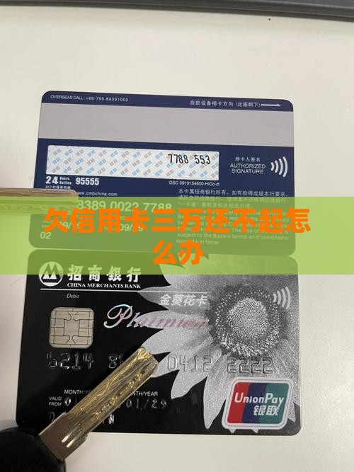 欠信用卡三万还不起怎么办